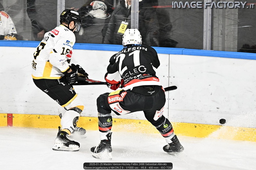 2025-01-25 Mastini Varese-Hockey Feltre 2498 Sebastian Allevato